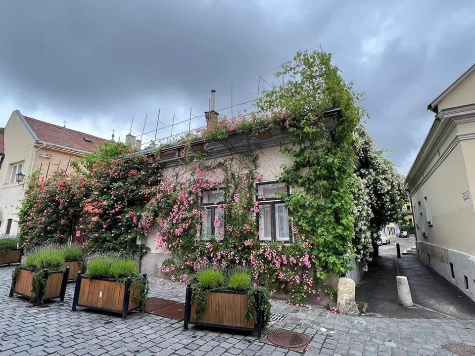 Downtown Romantic Székesfehérvár Extérieur photo